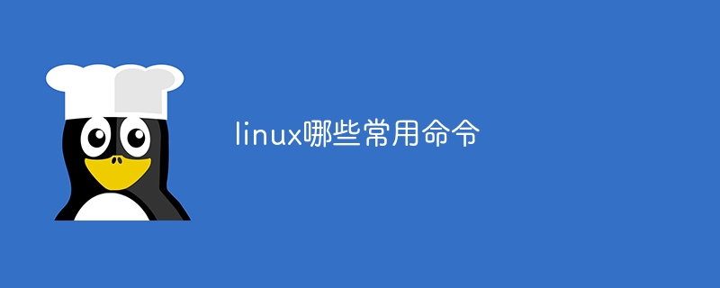 linux哪些常用命令