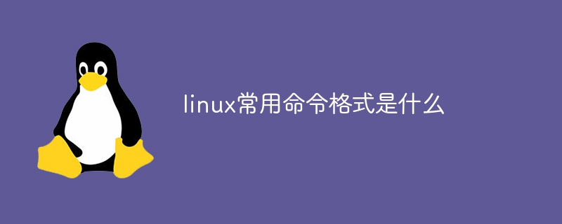 linux常用命令格式是什么