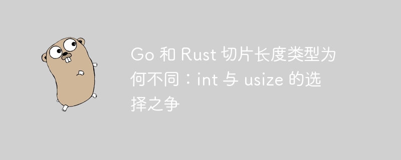 Go 和 Rust 切片长度类型为何不同：int 与 usize 的选择之争