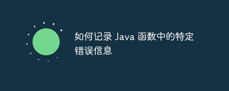 如何记录 Java 函数中的特定错误信息