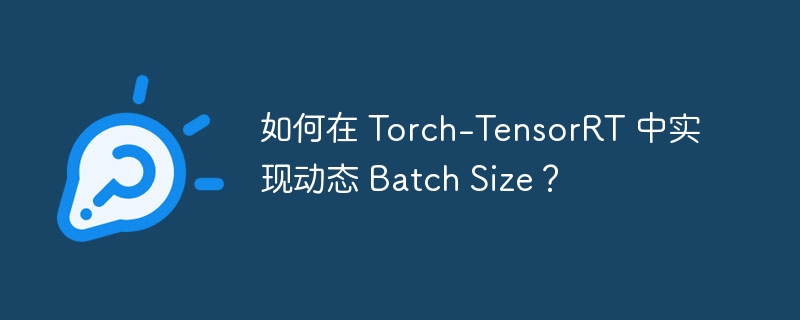 如何在 Torch-TensorRT 中实现动态 Batch Size？