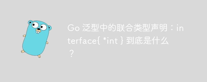 Go 泛型中的联合类型声明：interface{ *int } 到底是什么？