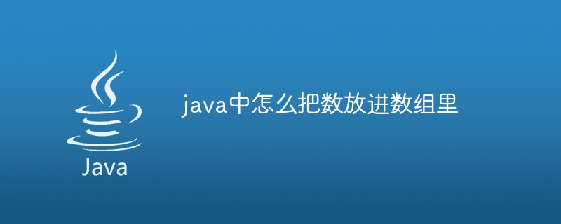 java中怎么把数放进数组里