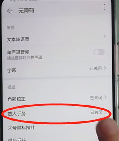 荣耀9x开启放大功能的操作教程截图