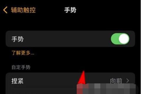 AppleWatchSeries7在哪里设置手势操作？AppleWatchSeries7手势操作设置步骤截图