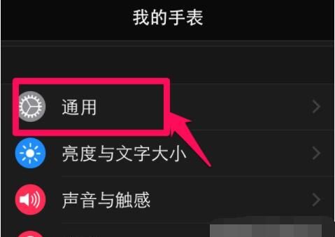 Applewatchseries6怎么更新系统？Applewatchseries6更新系统教程截图