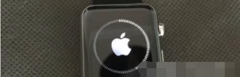 Applewatchseries6怎么更新系统？Applewatchseries6更新系统教程截图