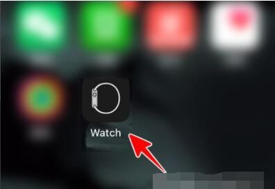 AppleWatch如何升级到watchOS8？AppleWatch升级到watchOS8教程