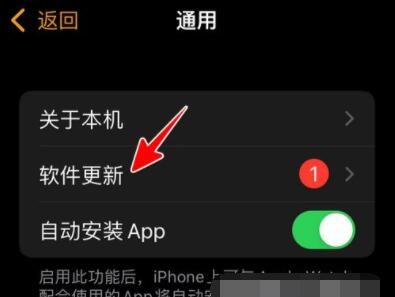 AppleWatch如何升级到watchOS8？AppleWatch升级到watchOS8教程截图