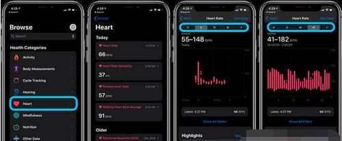 Applewatch6怎么查看心率数据？Applewatch6查看心率数据的方法截图