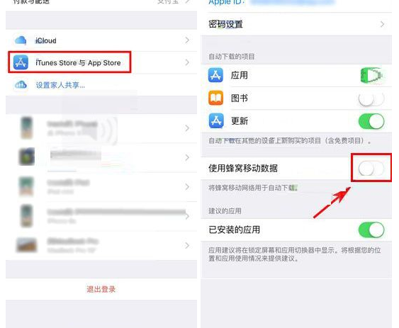 iPhone X设置禁止流量更新应用的操作过程截图