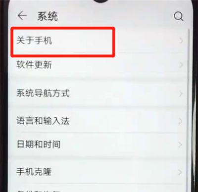 荣耀畅玩8a中辨别真伪的操作教程截图