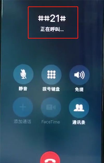 iphonexr中设置呼叫转移的简单操作截图