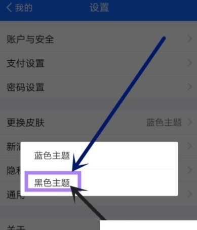 在蚂蚁财富APP中设置主题皮肤的具体步骤截图