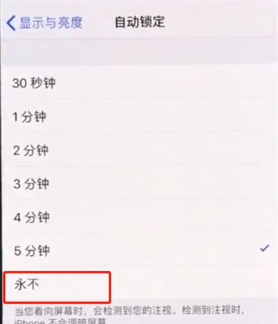 iphonexs中设置手机屏幕常亮的操作步骤截图