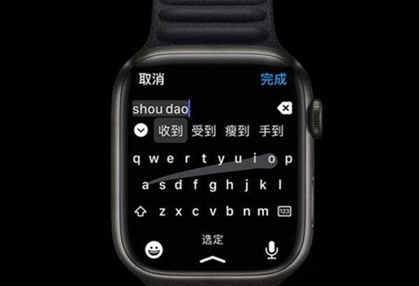 AppleWatchSeries7如何打字聊天？AppleWatchSeries7打字聊天的方法截图