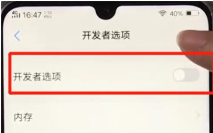 vivoz3打开开发者选项的操作教程截图