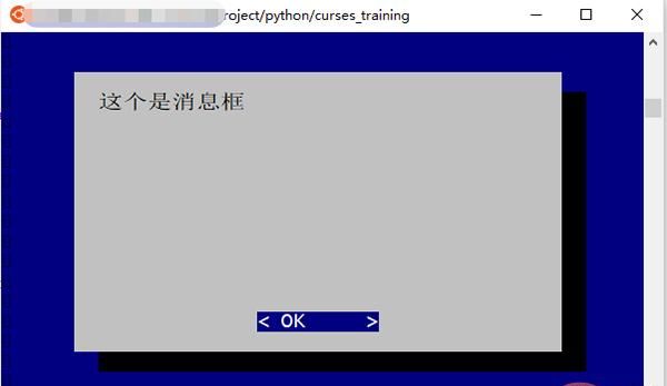 Python 文本终端 GUI 框架，太酷了