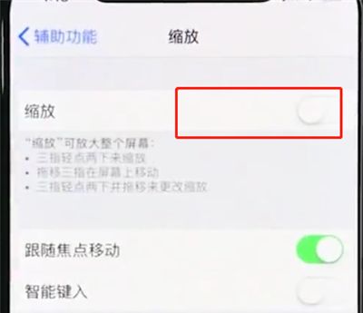 iphonexr使用缩放的详细操作过程截图