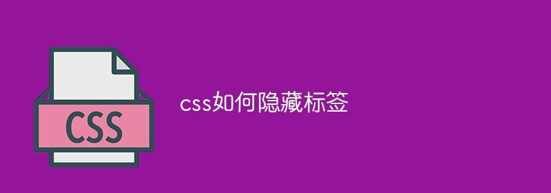 css如何隐藏标签