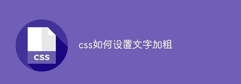 css如何设置文字加粗