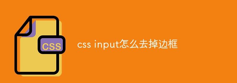 css input怎么去掉边框