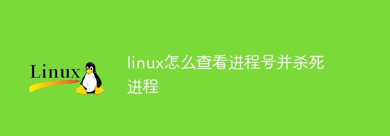 linux怎么查看进程号并杀死进程