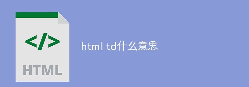 html td什么意思