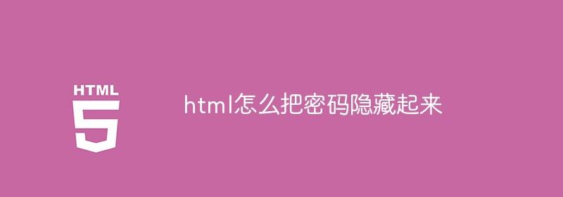 html怎么把密码隐藏起来