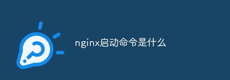 nginx启动命令是什么