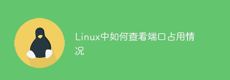 Linux中如何查看端口占用情况