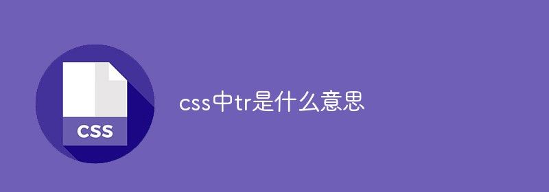 css中tr是什么意思