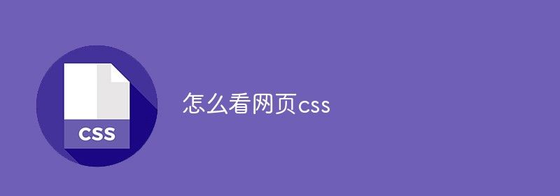 怎么看网页css