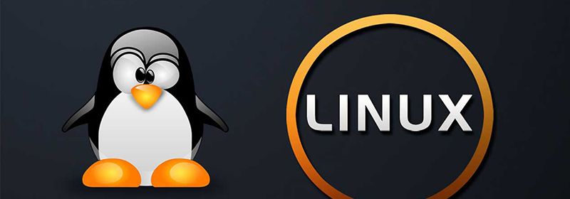 linux bash 是什么意思