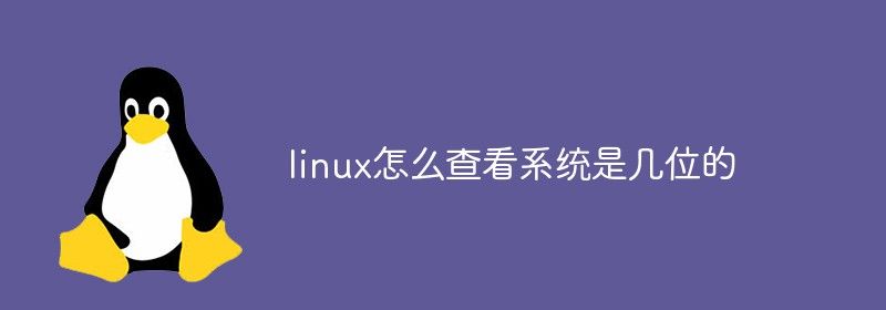 linux怎么查看系统是几位的