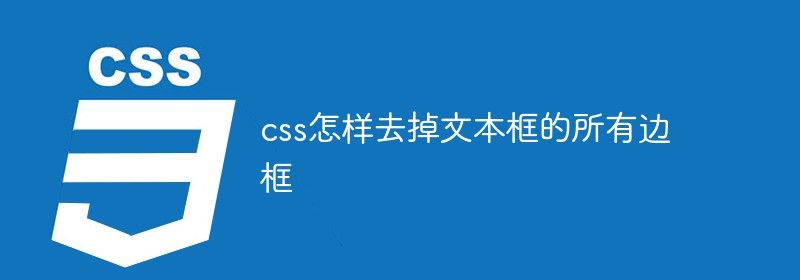 css怎样去掉文本框的所有边框