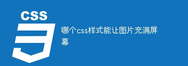 哪个css样式能让图片充满屏幕