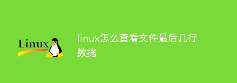 linux怎么查看文件最后几行数据