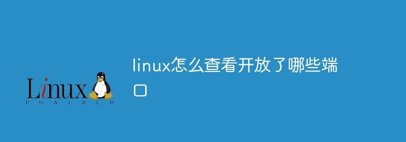 linux怎么查看开放了哪些端口