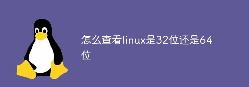 怎么查看linux是32位还是64位