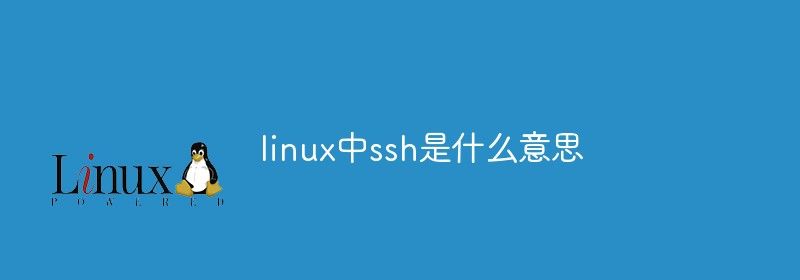 linux中ssh是什么意思