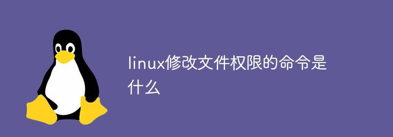 linux修改文件权限的命令是什么