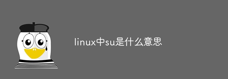 linux中su是什么意思