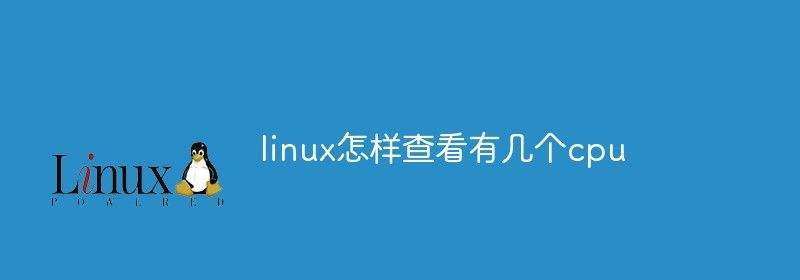 linux怎样查看有几个cpu