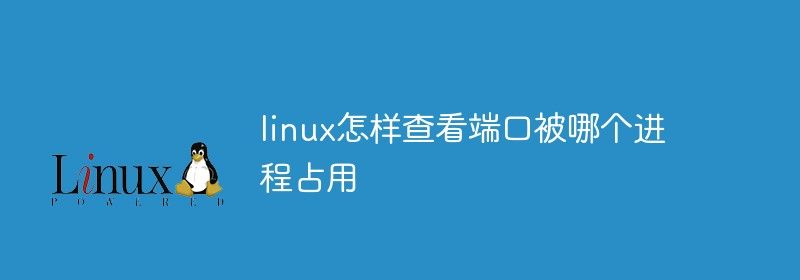 linux怎样查看端口被哪个进程占用