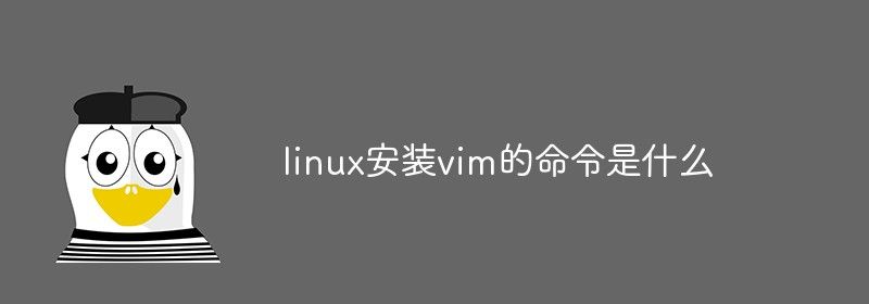 linux安装vim的命令是什么