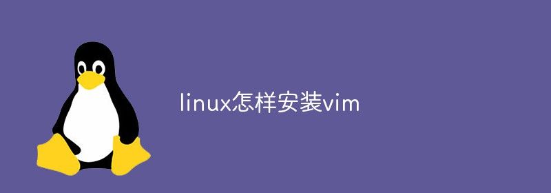 linux怎样安装vim