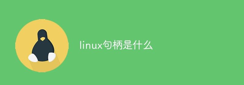 linux句柄是什么