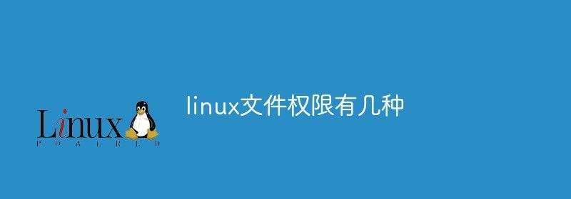 linux文件权限有几种