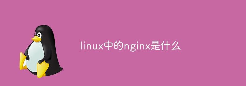 linux中的nginx是什么